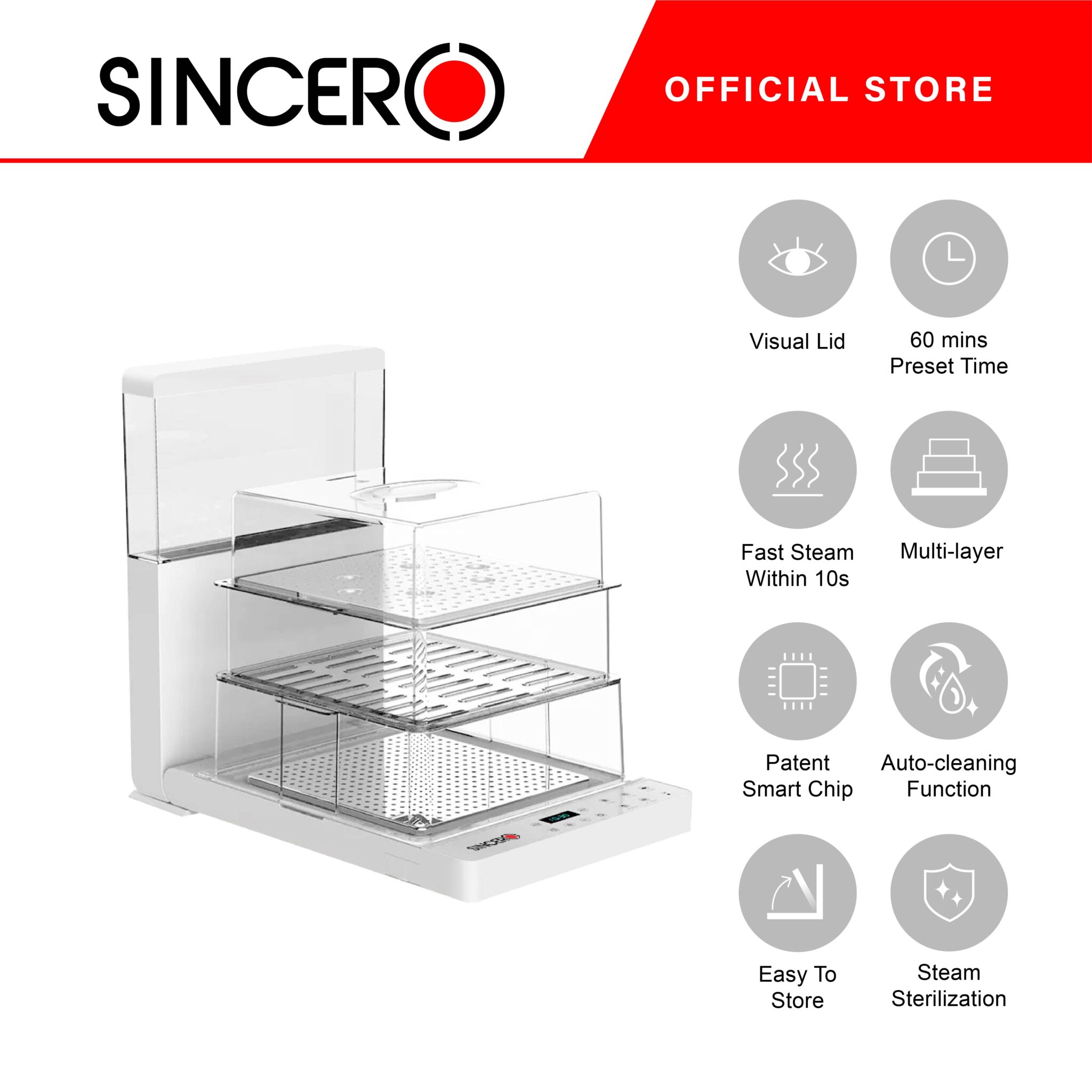 SFS100 Foldable Multifunctional Electrical Steamer Sincero